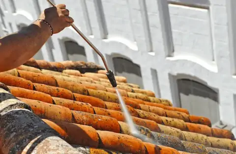 Nettoyage de toitures - Igny